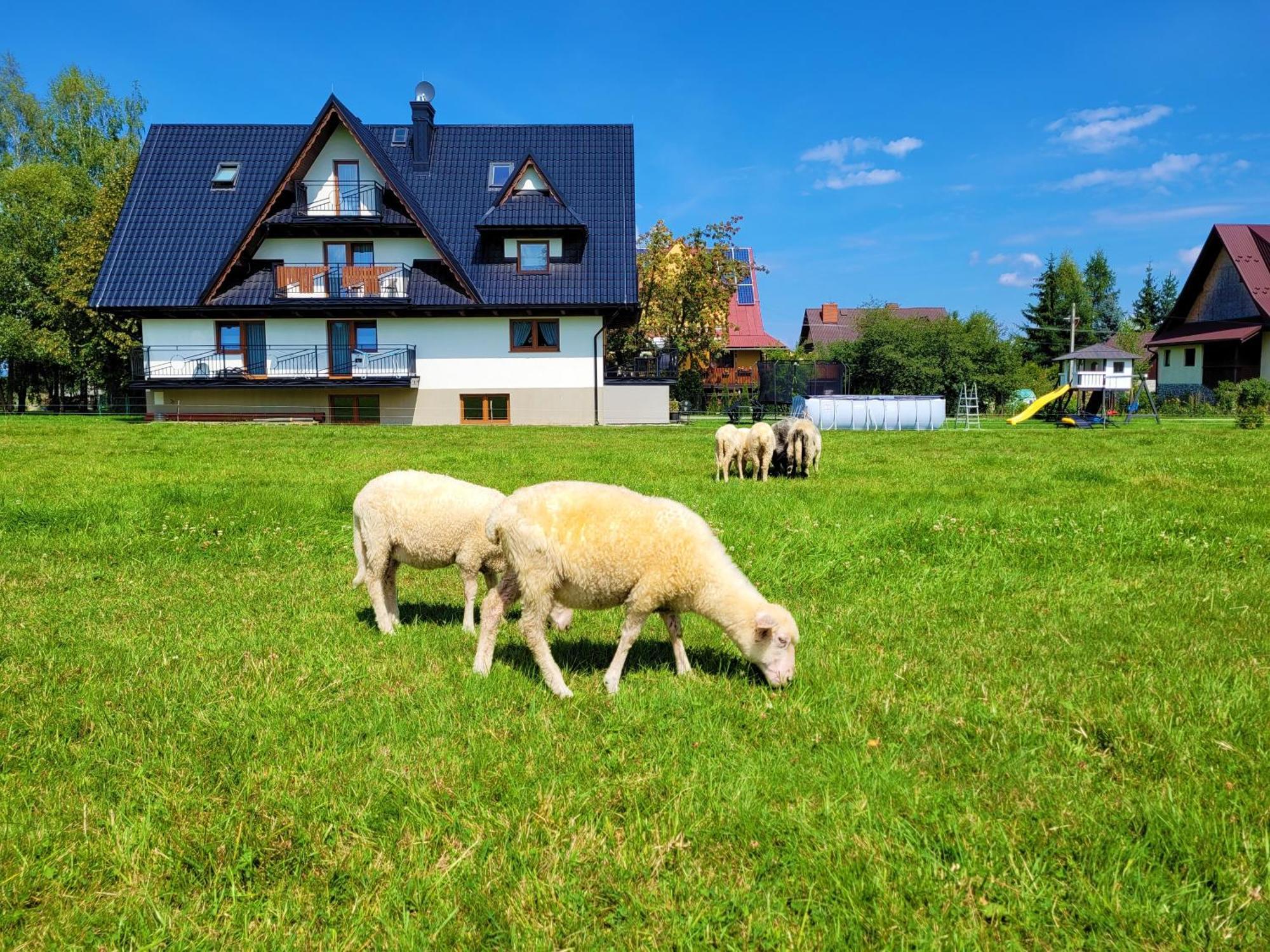 Ferienwohnung Stylovy Białka Tatrzańska Exterior foto